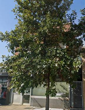 3946 N Cicero Unit 1, Chicago, IL 60641