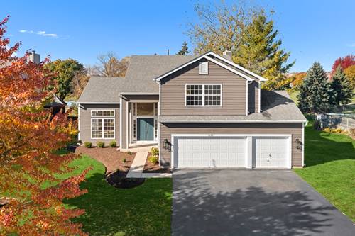 1133 Heavens Gate, Lake In The Hills, IL 60156