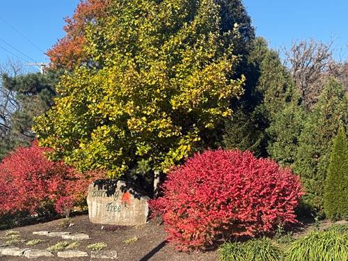 7015 Burning Tree, Mchenry, IL 60050