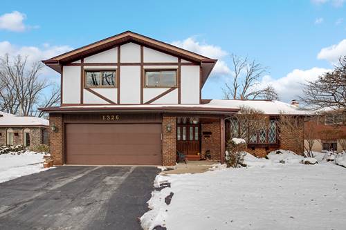 1326 Hillview, Homewood, IL 60430