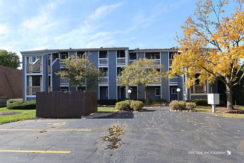 52 N Pistakee Lake Unit 8, Fox Lake, IL 60020