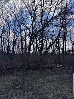 1859 Erin, Morris, IL 60450