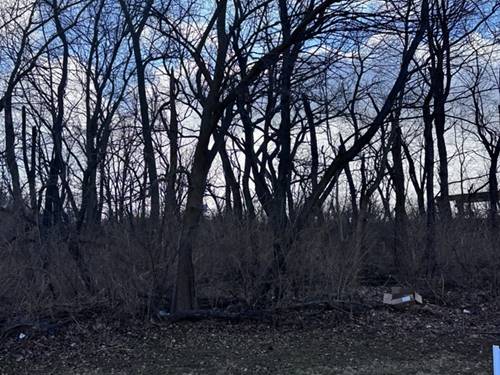 1859 Erin, Morris, IL 60450