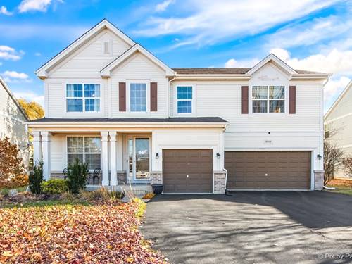 10342 Hunter, Huntley, IL 60142