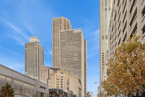 100 E Walton Unit 18D, Chicago, IL 60611