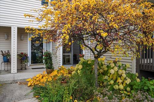 131 Autumn Unit 131, Buffalo Grove, IL 60089