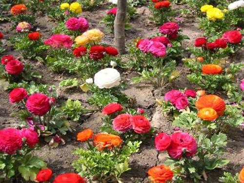 1235 Hathaway, Sycamore, IL 60178