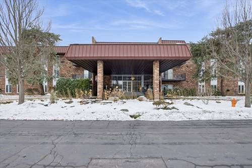 1041 W Ogden Unit 320, Naperville, IL 60563