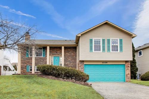 1239 Spring Valley, Carol Stream, IL 60188