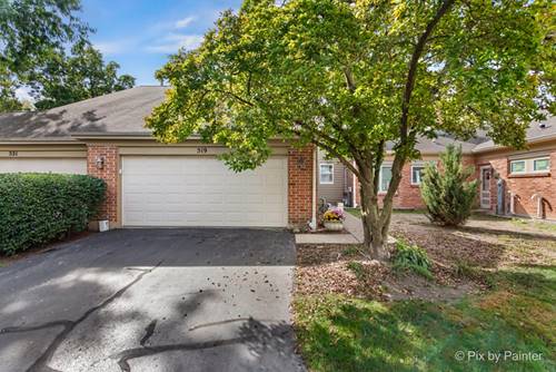 519 Shagbark, Elgin, IL 60123