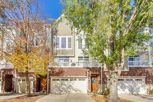 513 Grove, Forest Park, IL 60130