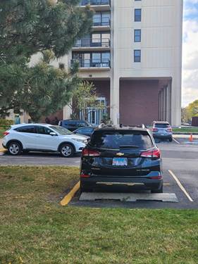 2901 S Michigan Unit 908, Chicago, IL 60616