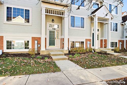 548 New Haven Unit 548, Cary, IL 60013