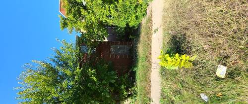 7804 S Constance, Chicago, IL 60649