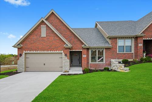 19505 Foxford, Mokena, IL 60448