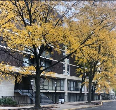 1043 S York Unit 208, Bensenville, IL 60106