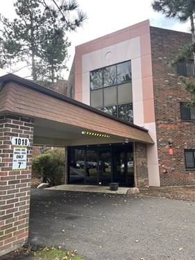 1018 Castilian Unit 205, Glenview, IL 60025