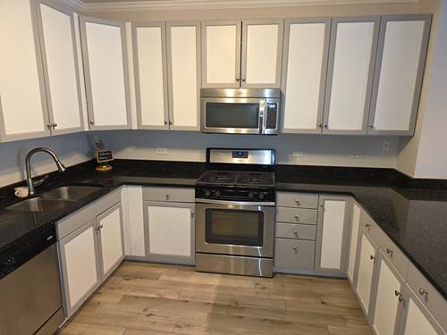 1101 S State Unit 801, Chicago, IL 60605