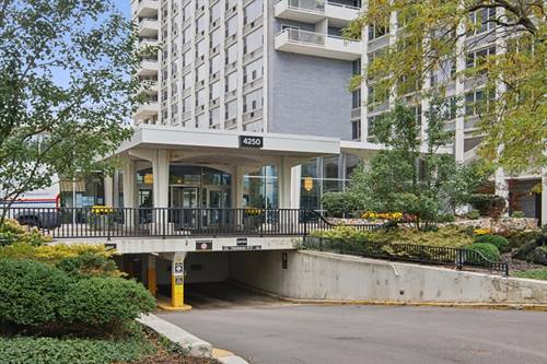 4250 N Marine Unit 1410, Chicago, IL 60613