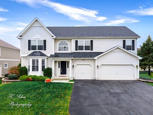 533 Nunda, Crystal Lake, IL 60012