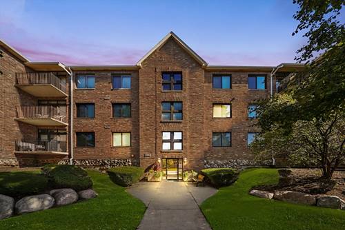 11001 Deblin Unit 203, Oak Lawn, IL 60453