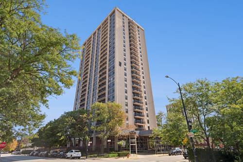 2605 S Indiana Unit 307, Chicago, IL 60616