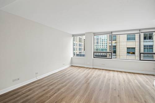 233 E Erie Unit 2203, Chicago, IL 60611