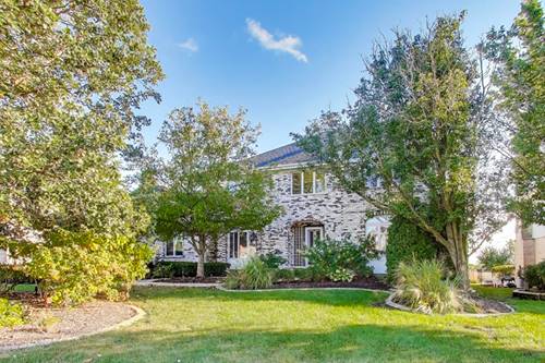 12057 Longmeadow, Homer Glen, IL 60491