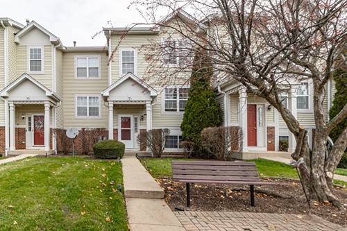 163 Holiday, Hainesville, IL 60073