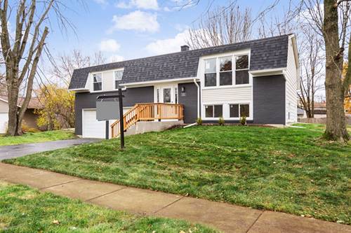 451 Alcester, Bolingbrook, IL 60440