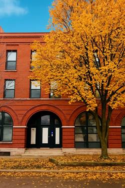 1707 N Paulina Unit 102, Chicago, IL 60622