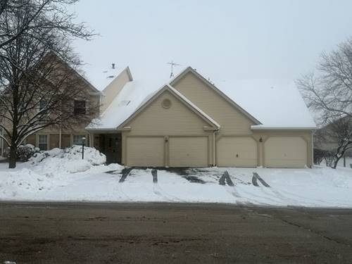 205 Glasgow Unit V1, Schaumburg, IL 60194