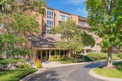 22 Park Unit 203, Park Ridge, IL 60068