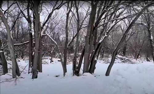 Vacant Heiden, Crest Hill, IL 60403