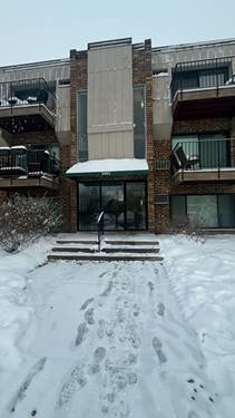 1453 N Winslowe Unit 303, Palatine, IL 60074