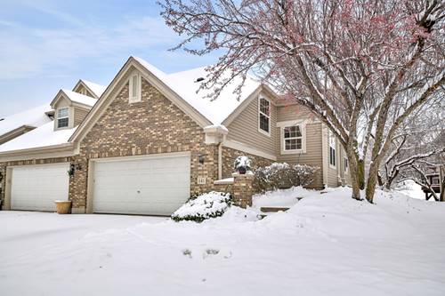 141 River Mist, Oswego, IL 60543