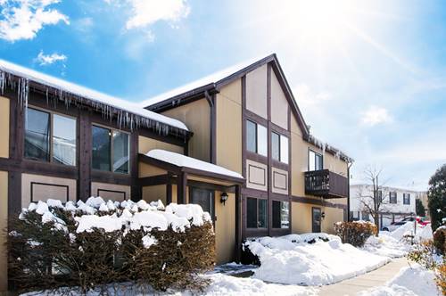 1342 Inverrary Unit 1342, Palatine, IL 60074
