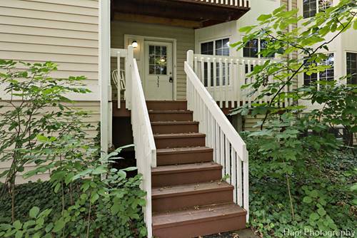 337 W Treehouse Unit 11-2, Round Lake, IL 60073