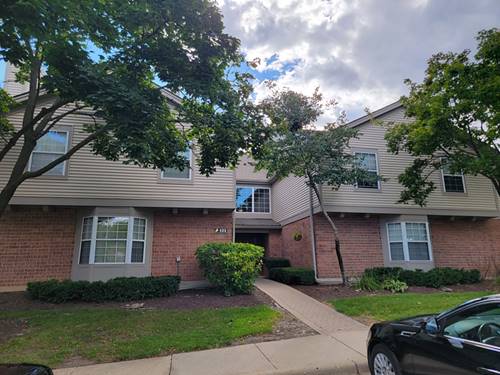 123 Willow Brook Unit 3, Schaumburg, IL 60195
