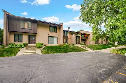 1100 Holbrook Unit D, Homewood, IL 60430