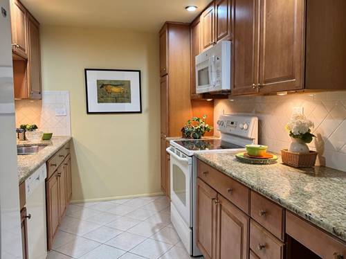 825 Pearson Unit 3D, Des Plaines, IL 60016