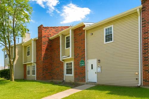 1345 Wyndam Unit 203, Palatine, IL 60074