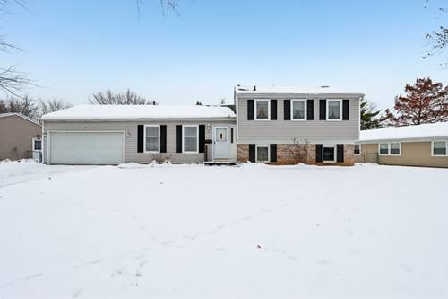 21 Cumberland, Schaumburg, IL 60194