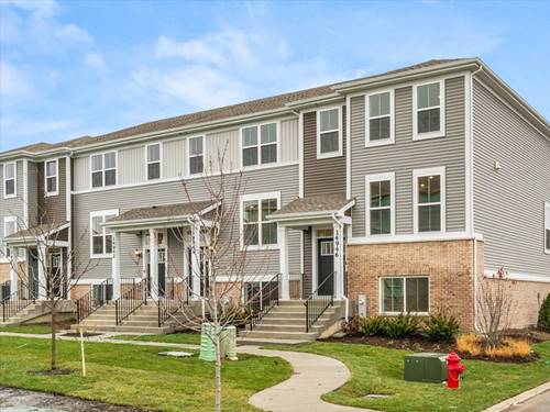 14946 S Dyer, Plainfield, IL 60544