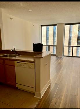 222 N Columbus Unit 806, Chicago, IL 60601