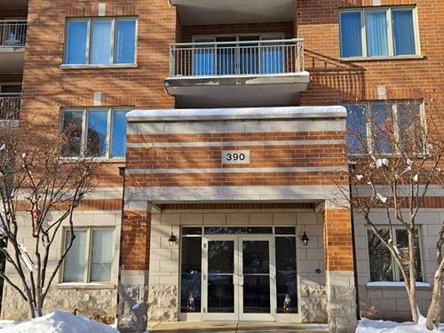 390 S Western Unit 702, Des Plaines, IL 60016