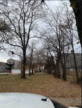 1338 S Keeler, Chicago, IL 60623