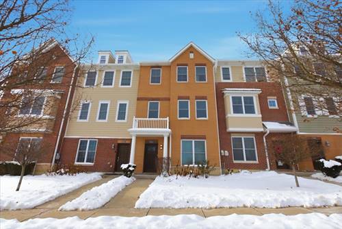 10604 Alice Mae, Orland Park, IL 60462