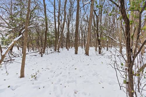 2058 Suffork, Northfield, IL 60093