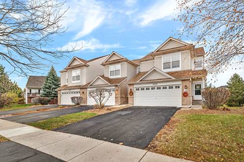 23033 Ironwood, Plainfield, IL 60586